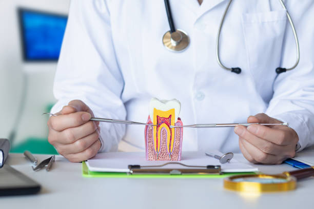 Best Emergency Gum Treatment in Charleston, WV